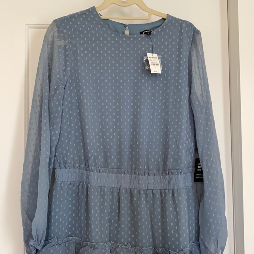 Express Ruffle Dress